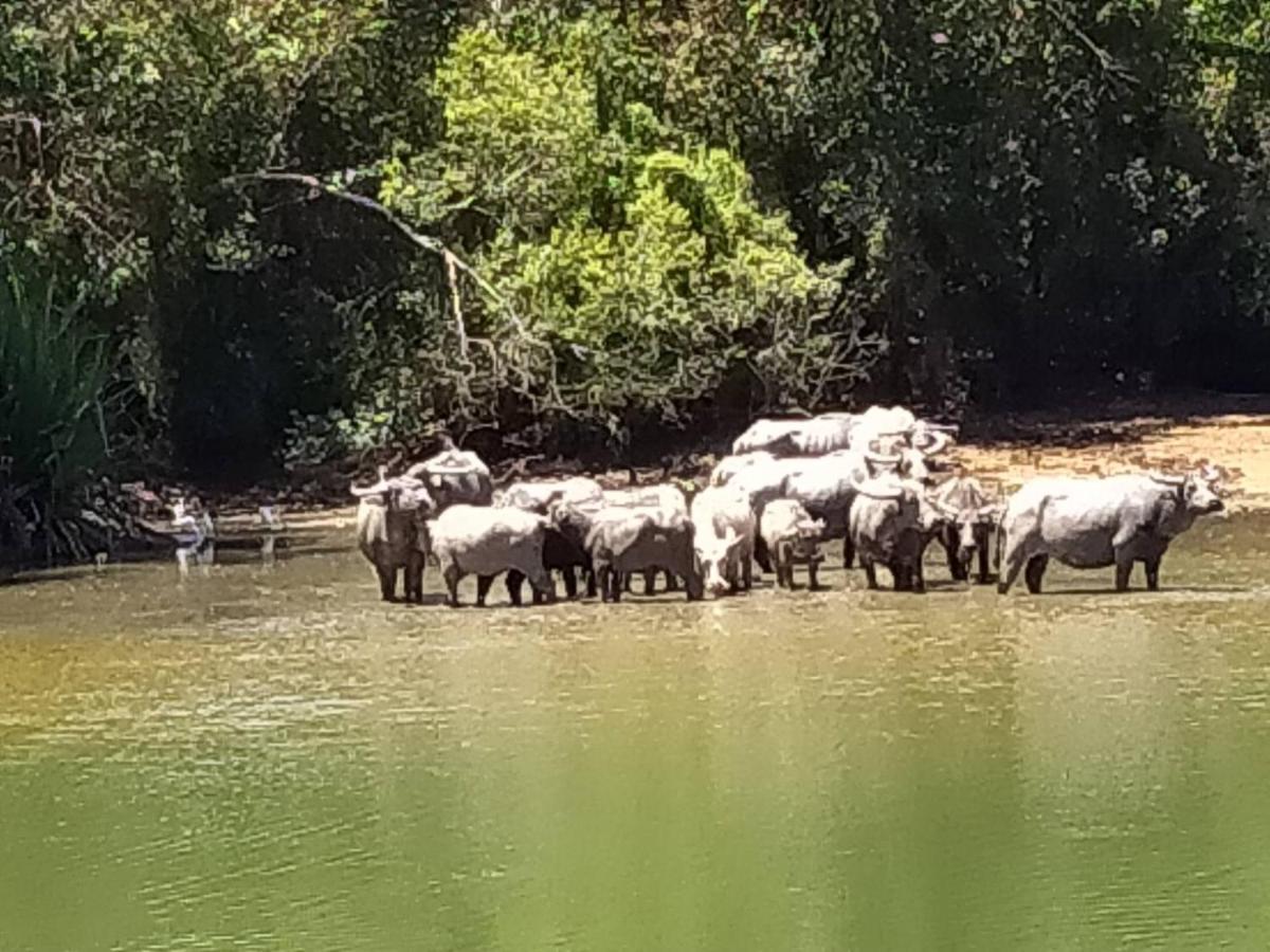 Khum Thong Resort Takuapa エクステリア 写真