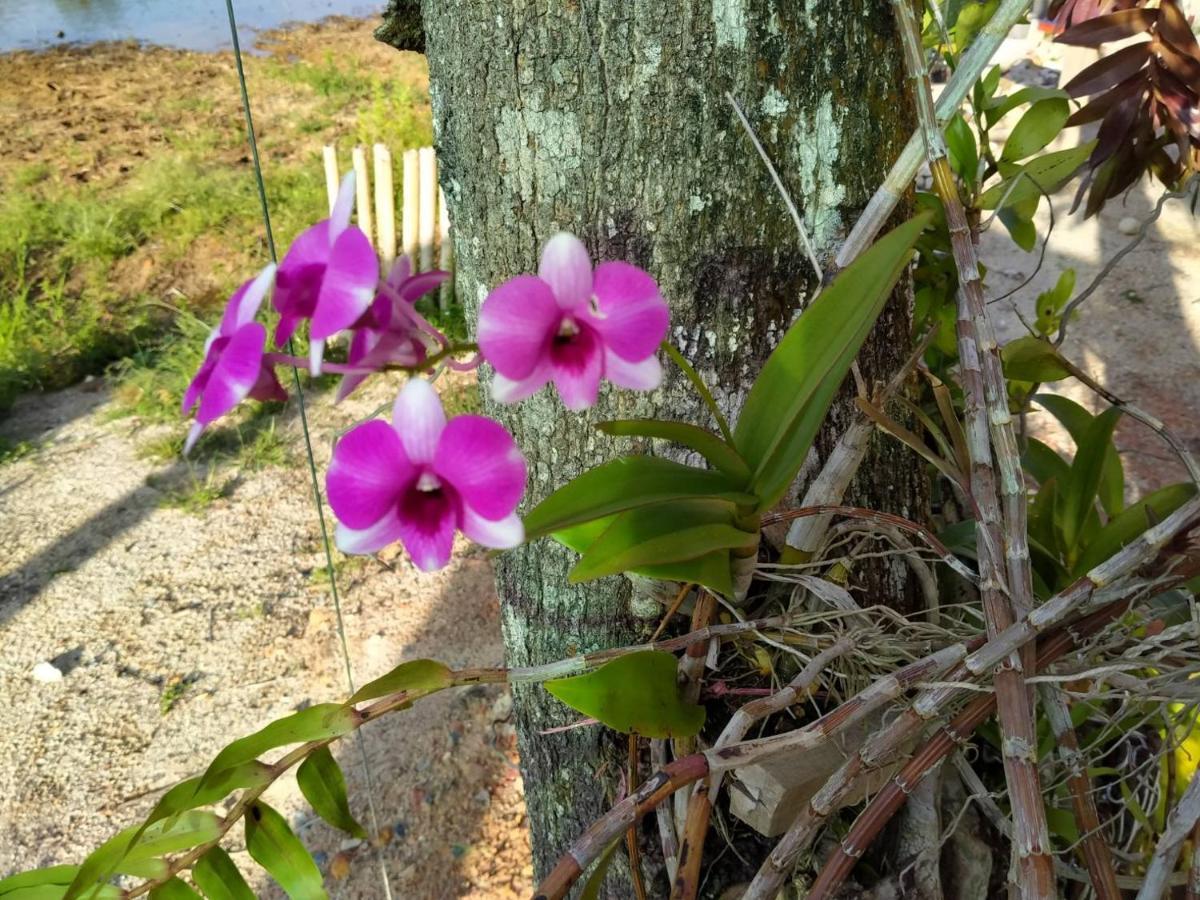 Khum Thong Resort Takuapa エクステリア 写真